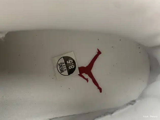 Kick Theory 6 Jordan CT8529-162 Retro Hare 0615